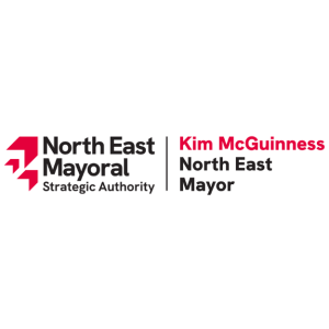 NEMSA logo