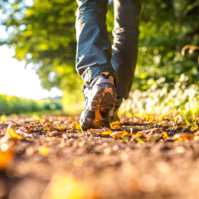 Image showing feet walking on leaves
