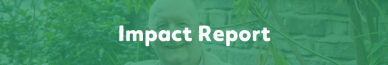 Impact Report