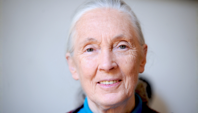 Image of Jane Goodall