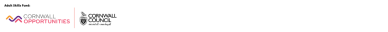 Cornwall Council logo