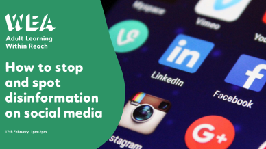 Disinformation header