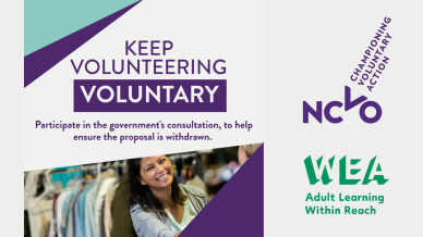 Campaign asset for volunteering blog